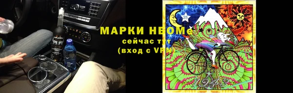 прущий лед Новозыбков