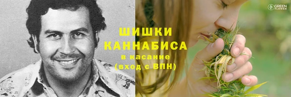 спиды Новодвинск